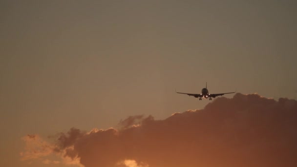 Flugzeug steigt bei Sonnenuntergang auf — Stockvideo