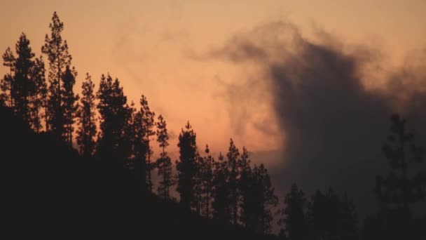 Esti táj felhők emelkednek a hegyek fölött fákkal — Stock videók