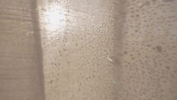 Window with morning condensation and light curtain — Stock Video