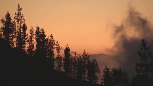 Akşam manzarası. Ağaçlarla dağların üzerinden yükselen bulutlar. — Stok video
