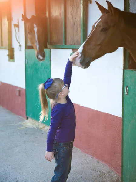 抚摸着一匹马在马厩里的小女孩 — 图库照片
