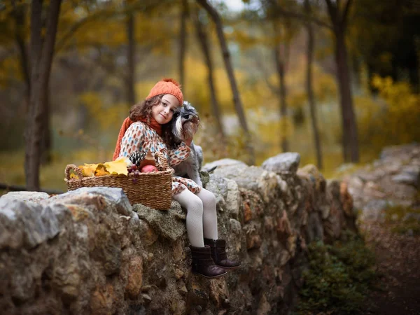 Mrňavá holka s velkým psem v lese na podzim — Stock fotografie