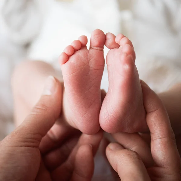 Voeten voor pasgeborenen in moeders handen — Stockfoto