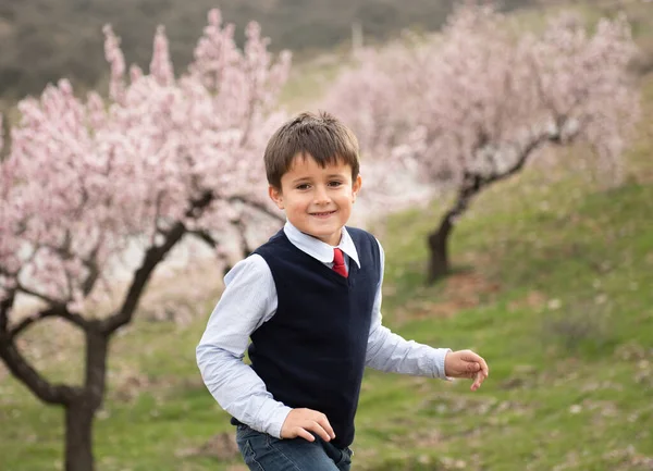 Hermoso niño jugando en un campo con almendras florecientes . —  Fotos de Stock