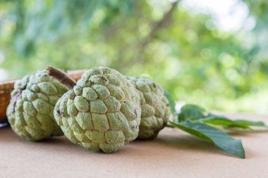 Muhallebi apple doğa arka plan ile ahşap tahta üzerinde.