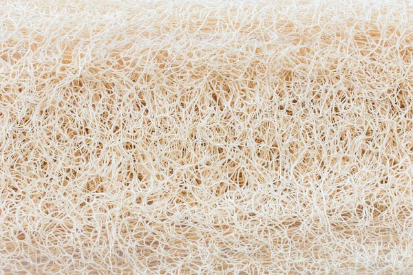 Luffa sec, fond texturé éponge luffa . — Photo