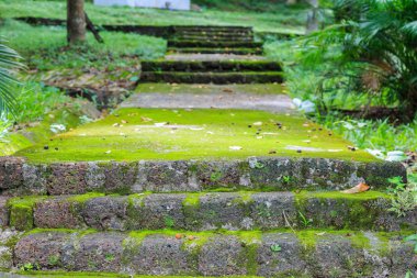 Ecek Milli parkta geçit üzerinde.