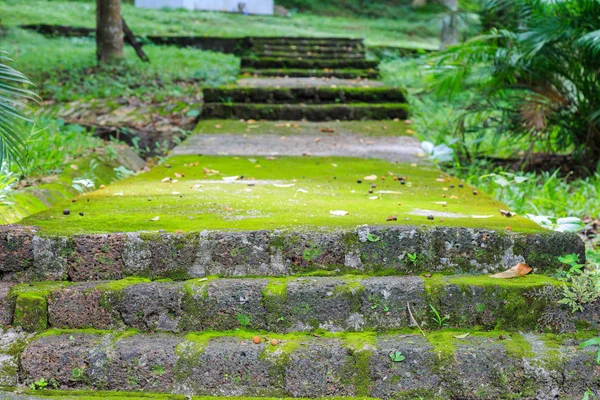 Ecek Milli parkta geçit üzerinde.