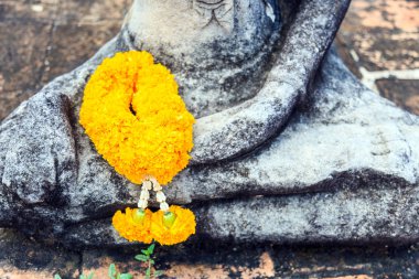 Resim kadife çiçeği garlan heykel harabe üzerinde yakından Buda.