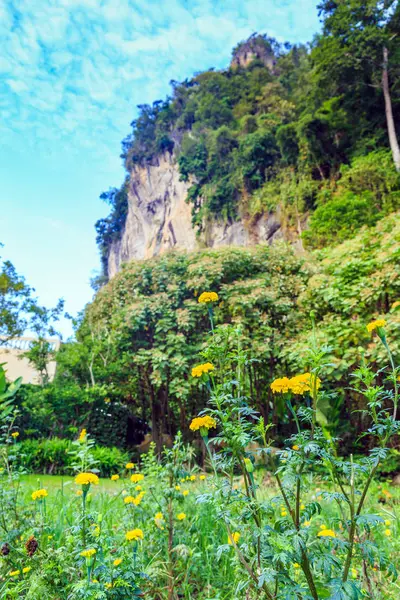 Una flor de caléndula en el prado con el fondo montañés de roca — Foto de Stock
