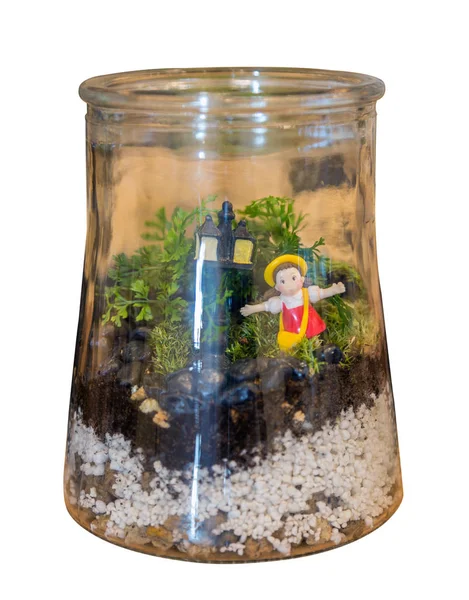 Terrarium ile pembe kız bebek beyaz arka plan üzerinde.