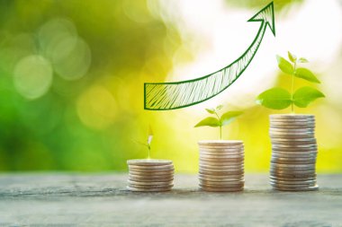 Yeşil doğa arka planına sahip ahşap masa üzerinde para yığını, para tasarrufu ve artan grafik iş konsepti.