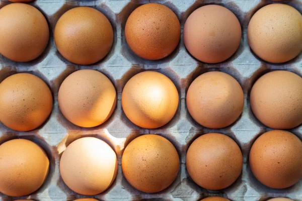 Top view of brown chicken eggs in an open egg carton with sunshine. Fresh chicken eggs background