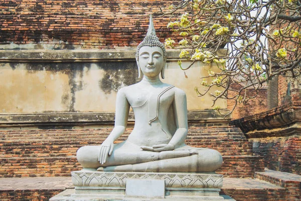 Ayutthaya döneminde Wat Yaichaimongkol 'da antik harabe arka planına sahip eski bir Buda heykeli..