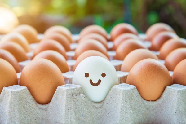 Side view of smiling white eggs with chicken eggs around in an open egg carton on wooden floor with green nature and sunshine background, Natural healthy food and organic farming concept.