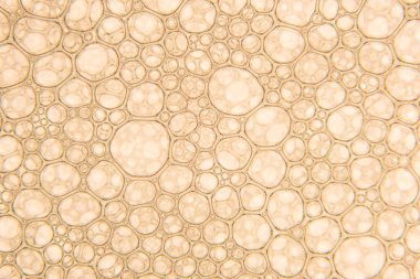 Şampanya altın kabarcıklar doku yakın çekim