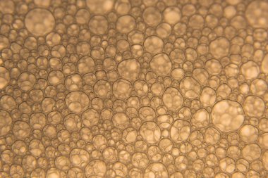 Şampanya altın kabarcıklar doku yakın çekim