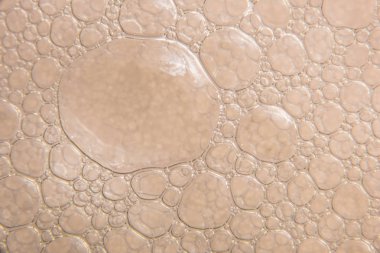 Şampanya altın kabarcıklar doku yakın çekim