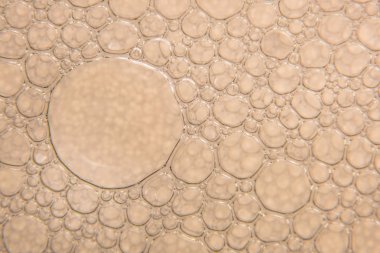 Şampanya altın kabarcıklar doku yakın çekim