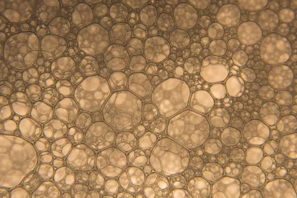 Şampanya altın kabarcıklar doku yakın çekim