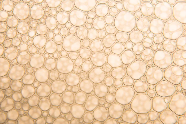 Şampanya altın kabarcıklar doku yakın çekim