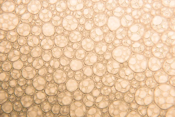 Şampanya altın kabarcıklar doku yakın çekim