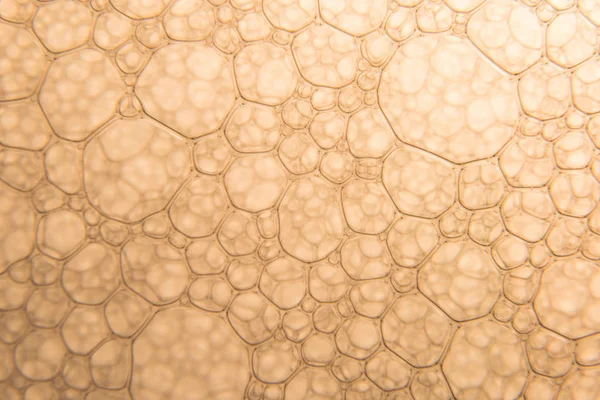 Şampanya altın kabarcıklar doku yakın çekim