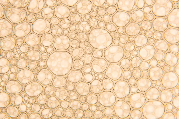 Υφή σαμπάνια χρυσό φυσαλίδες κοντινό πλάνο — Φωτογραφία Αρχείου