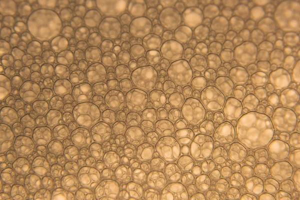 Champagne Gold Bubbles texture close up