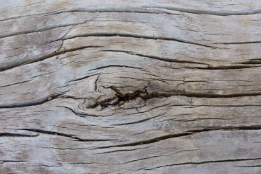 Ahşap tahıl desen arka plan