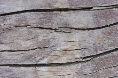 Ahşap tahıl desen arka plan