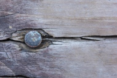 Ahşap tahıl desen arka plan