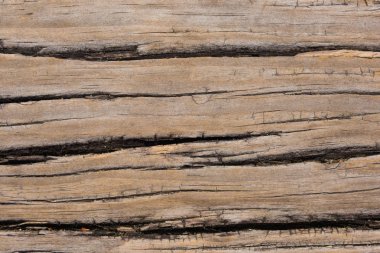 Ahşap tahıl desen arka plan