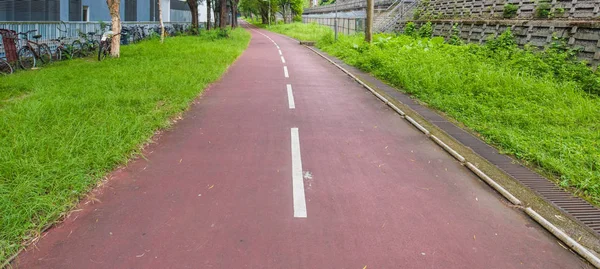 Carretera en bosque — Foto de Stock