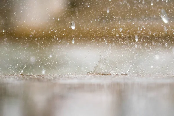 Water Spray in raining — Stock Photo, Image