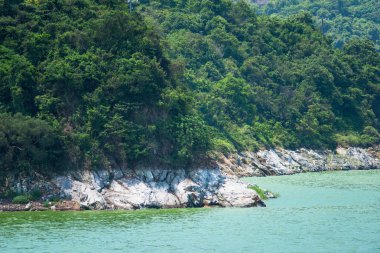 Hong Kong Plover koyu rezervuar görünümünden
