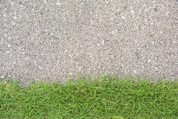 Grass texture on ground Stock Photo