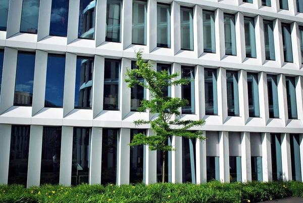  Modern bina. Modern ofis binası ile cam cephe.