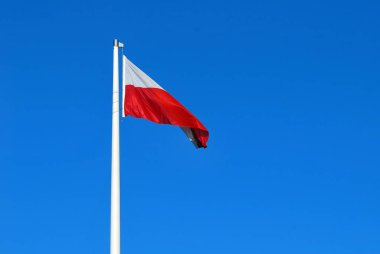 Mavi gökyüzü karşı direk üzerinde Polonya bayrağı