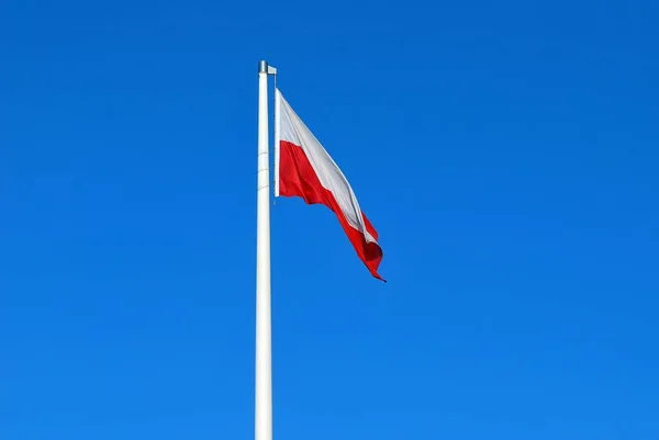 Lengyel zászló az árboc ellen, blue sky — Stock Fotó