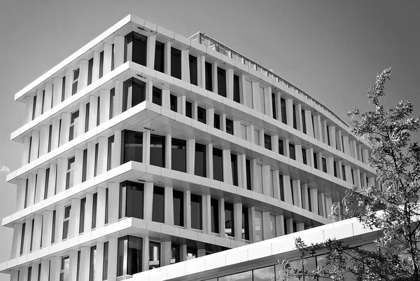 Edificio moderno. Moderno edificio de oficinas con fachada de cristal. Blanco y negro — Foto de Stock