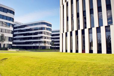 İş Bahçe karmaşık.