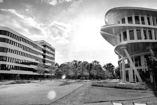 Modern building. Modern office building with facade of glass. Black and white — Stock Photo, Image