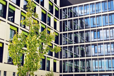 Modern bina. Camdan yapılmış modern ofis binası.