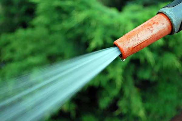 Water spraying from a garden hose — Stock Photo, Image