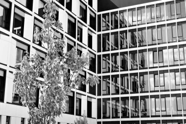 Modern iş ofis binası dış. Siyah ve beyaz