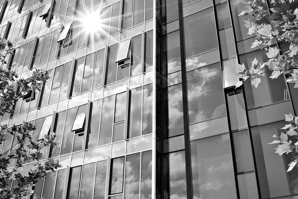 Modern business office building exterior. Black and white — Stock Photo, Image