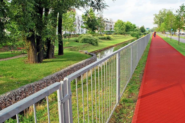 River in the park — Stock Photo, Image