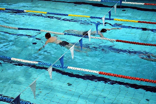 Nager dans la piscine — Photo