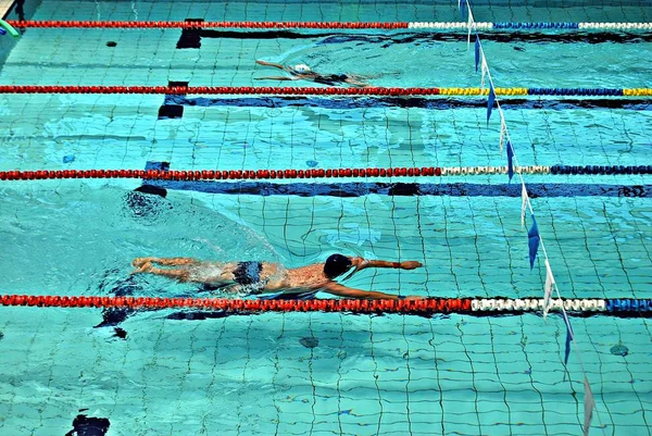 Nadando na piscina — Fotografia de Stock
